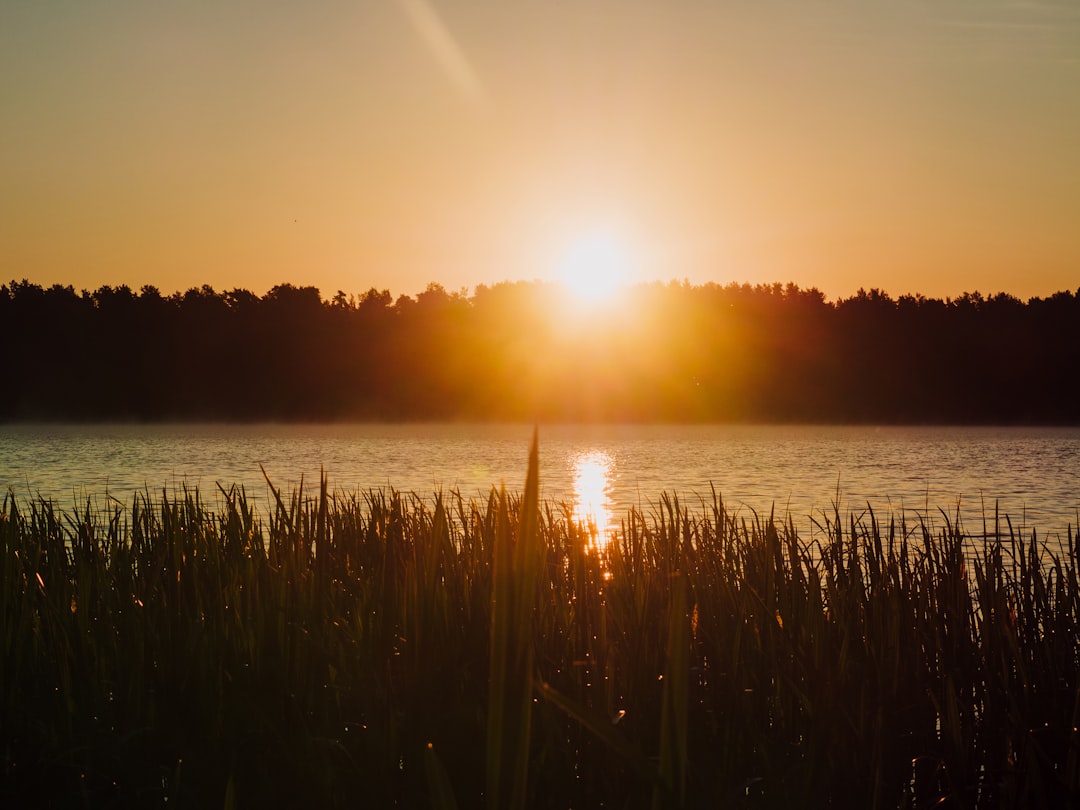 Exploring the Serene Beauty of Forest Lake Travel